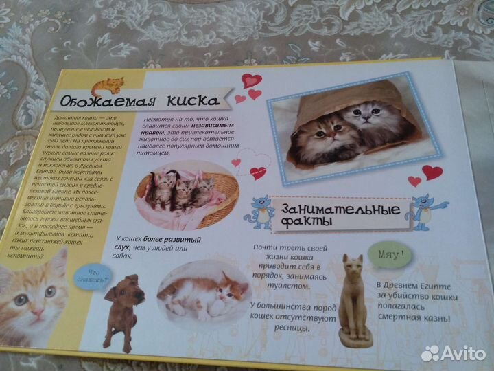 Книжка пазл 