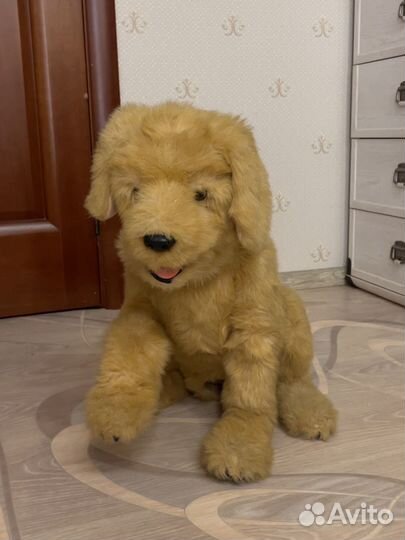 Интерактивная собака Hasbro