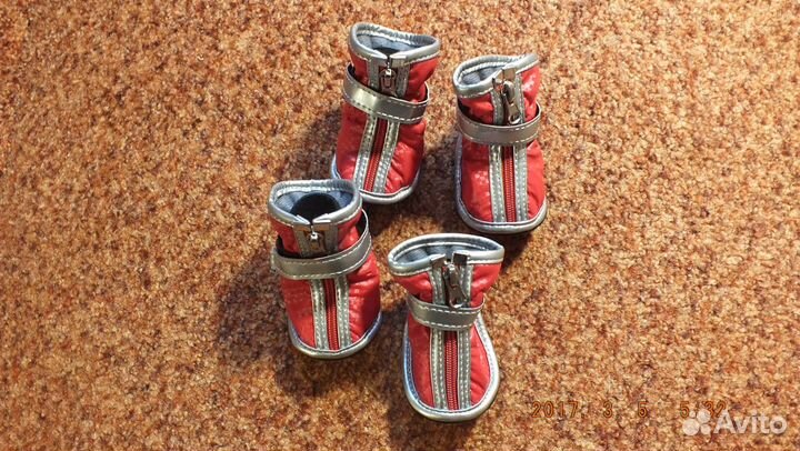 Обувь для собак