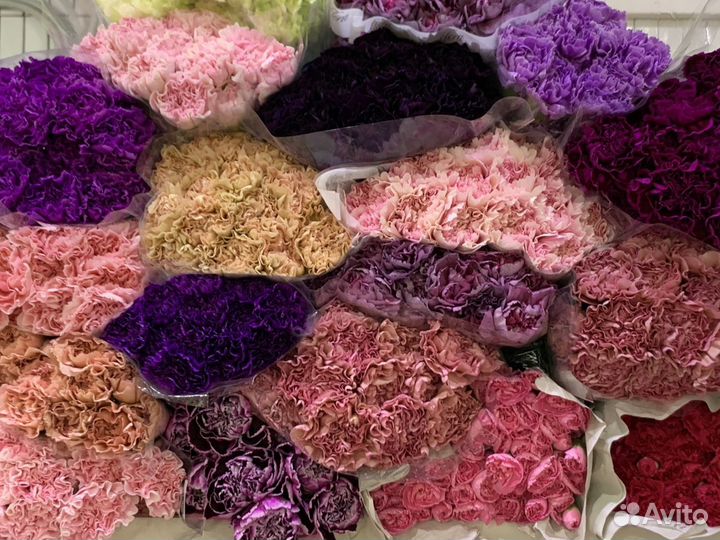 Букет из Гвоздик. Доставка