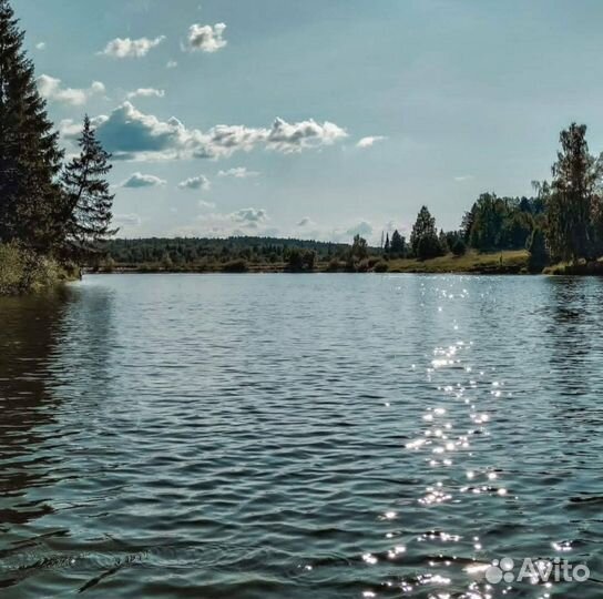 Рыбалка семейный отдых