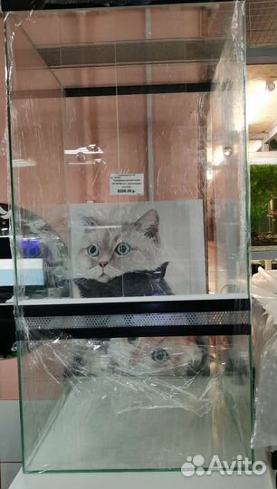 Террариум для эублефара и хамелеона