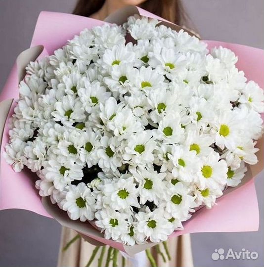 Хризантема Доставка цветов