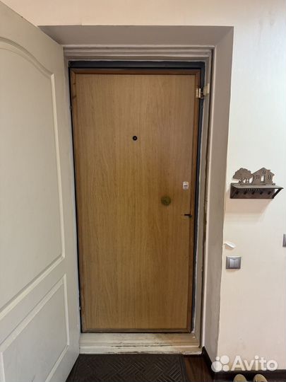 Входная стальная дверь