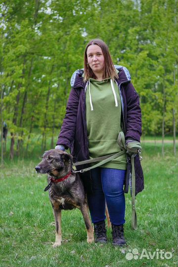 Пес из приюта, Федор ищет семью