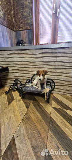 Гостиница для животных