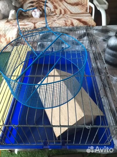 Клетка для грызунов бу