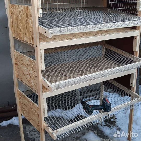 Клетка для перепелов