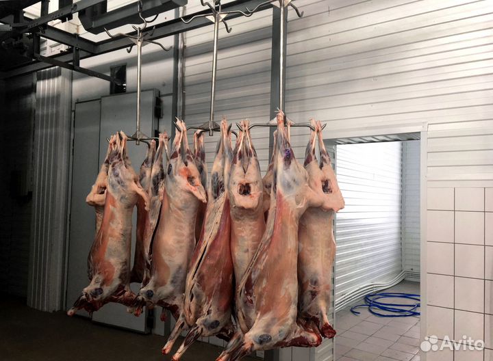 Туша баранины