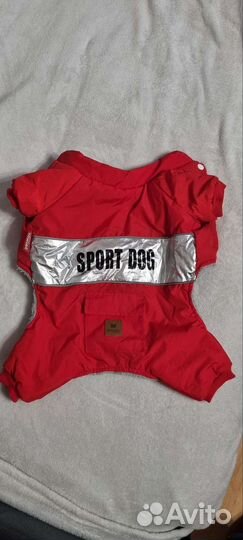 Одежда для собак