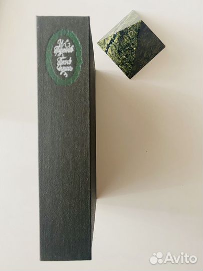 Тургеневис Песнь души