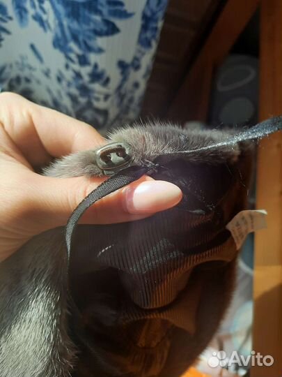 Меховая женская шапка норка бело-голубая