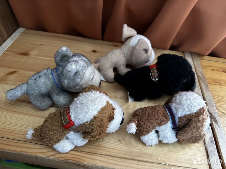 5 большеголовых собачек