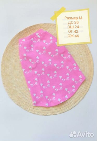 Одежда для кошек, сфинксов