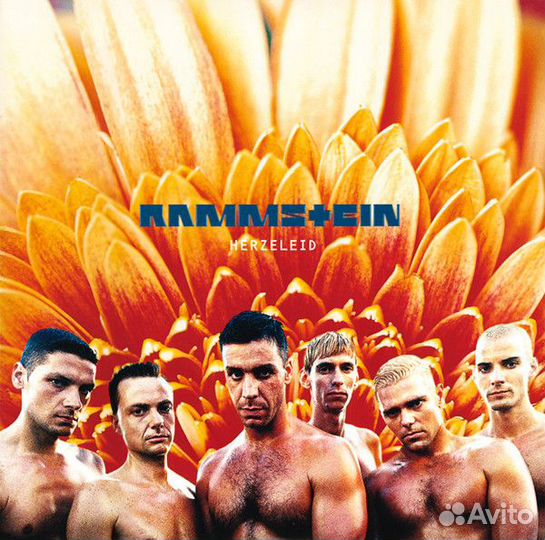 Пластинка Rammstein - Herzeleid