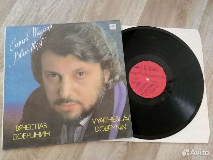 Пластинка Добрынин