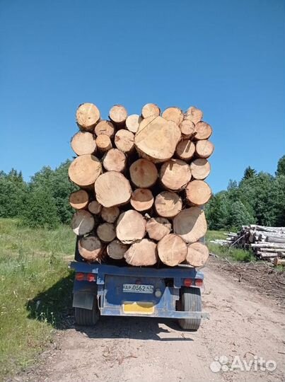 Лес кругляк