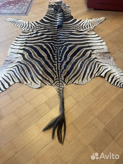 Шкура зебры
