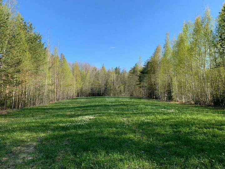 Участок 100 сот. (СНТ, ДНП)