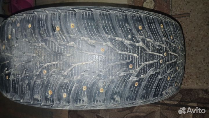 Nexen Winguard WinSpike 205/50 R17