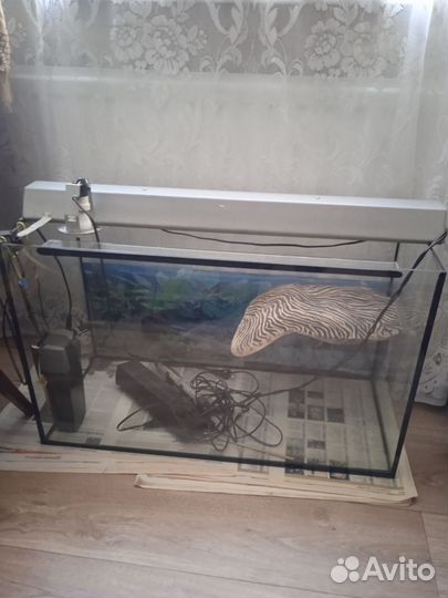 Аквариум для красноухой черепахи