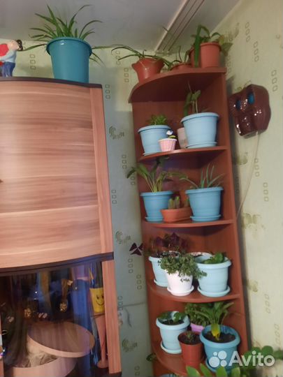 Стеллаж
