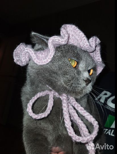 Шапка для животных