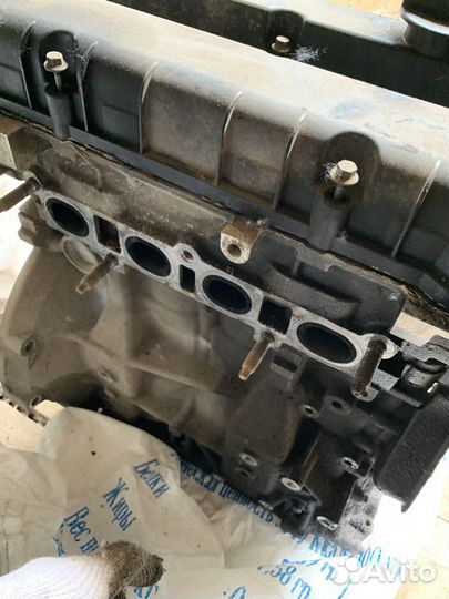 Двигатель Ford focus 2 1 6 115 л с