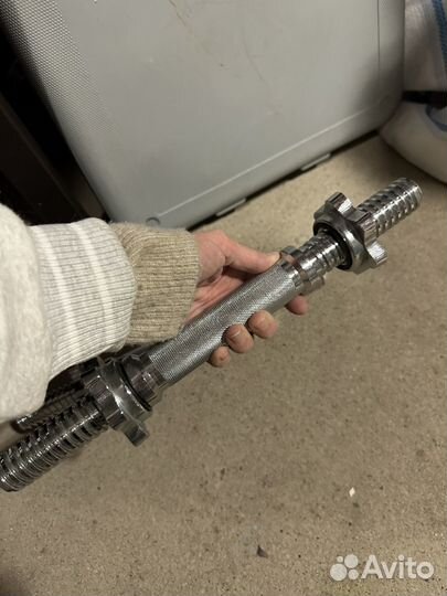 Гантели, блины, штанга