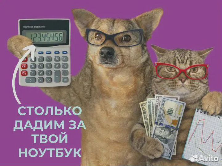 Топ Игровой монитор для любителей киберспорта