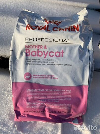Сухой корм для кошек роял канин