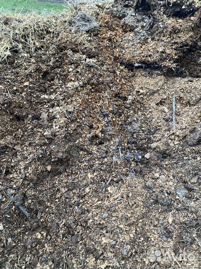 Конский навоз (перегной)
