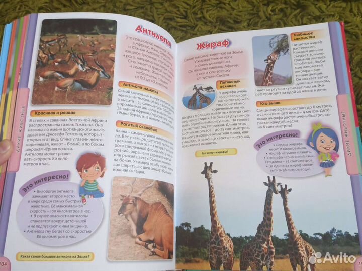 Книга детская энциклопедия