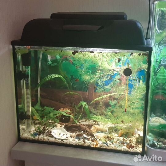 Аквариумный комплекс