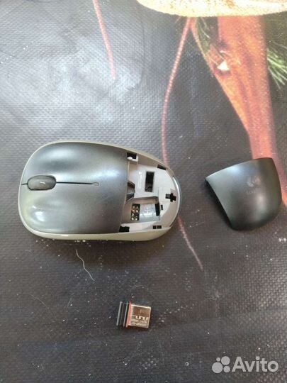 Беспроводная мышь