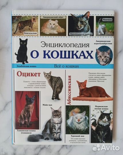 Книги о собаках, кошках и кроликах