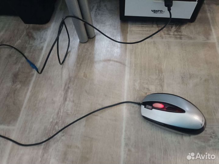 Мышь компьютерная
