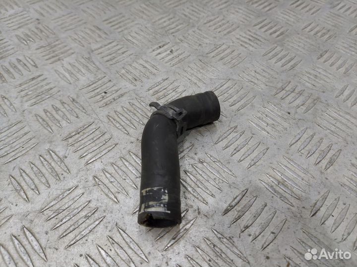 Шланг системы охлаждения Audi A3 RS3 RSQ3 ttrs