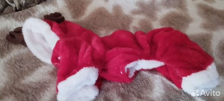 Одежда для маленьких собак