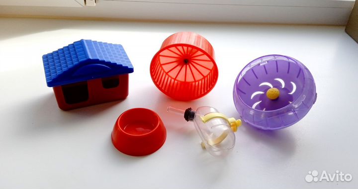 Клетка и все принадлежности для Фомы