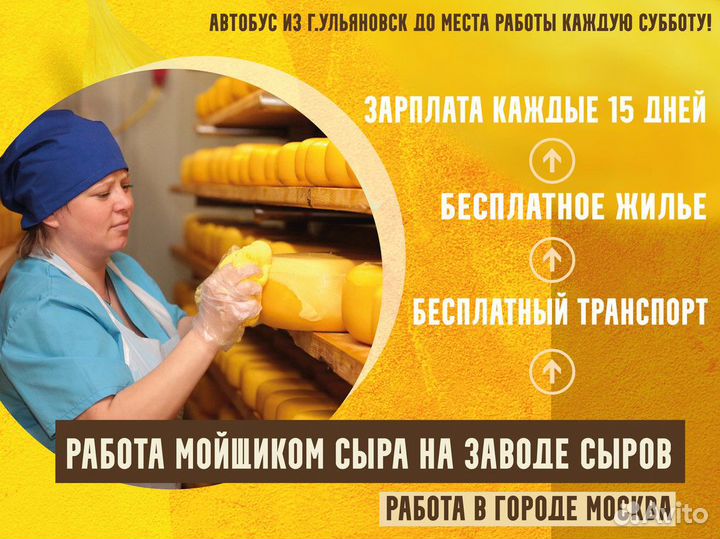 Мойщик сыра без опыта