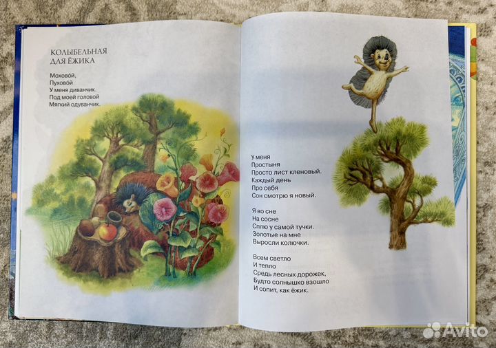 Колыбельная для ежика книга