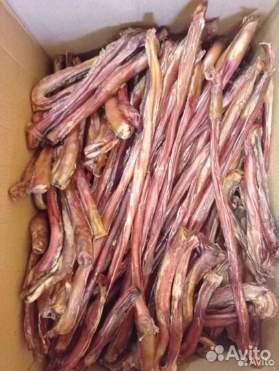 Корм для собак