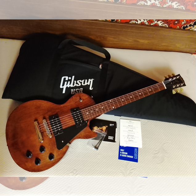 Gibson Les Paul Faded T 2017