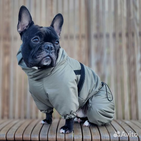 Зимний комбинезон для собак средних пород