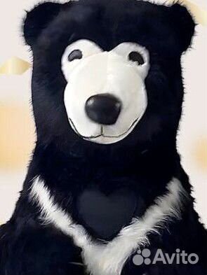 Экспресс поздравление Мишка