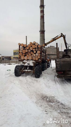 Услуга заготовка леса