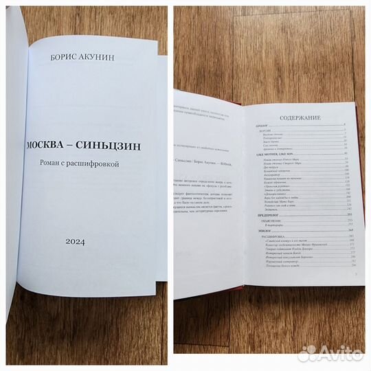 Книги детективы чхартишвили