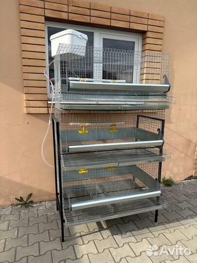 Клетка для кур несушек на 30 голов каркасная