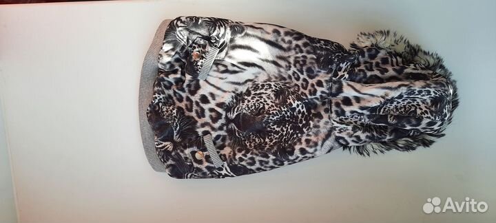 Одежда для маленьких собак